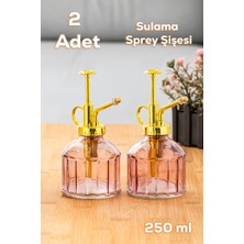 15733 2li Mor Vintage Cam Bitki Sulama Şişesi Oda Kokusu Dağıtıcı Cam Dağıtıcı Sprey Yağlık 250ML