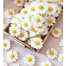 5 Adet Suda Yüzen Kokulu Mum, Beyaz, Şık ve Renkli Dekorasyon Seti