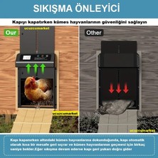 Zaman Ayarlı Digital Ekran Kümes Kapısı (Sıkışma Önleyici - Su Geçirmez)