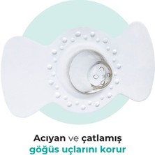 Mamajoo Göğüs Ucu Koruyucu, İkili, Sterilizasyon ve Saklama Kutulu