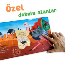 İlk Dokun Hisset Kitabım: Çöle Dokun - Melek Dinçer