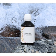 Zinzino Omega 3, D Vitamini, Epa, Dha ve Polifenollü Yeni Nesil Portakal Limon Nane Balık Yağı 100ML