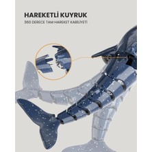 Lc Uzaktan Kumandalı Köpek Balığı