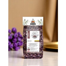 Sevinç Teyze Ekinezya / Echinacca / Angustifolia 40 G.