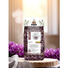 Sevinç Teyze Ekinezya / Echinacca / Angustifolia 40 G.