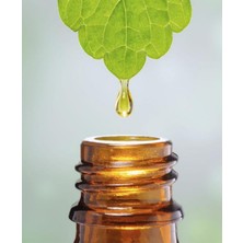 Nubea Solutia Şampuan 200 ml