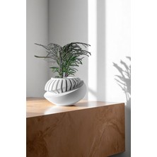 Küçük Boy Modern Tasarımlı Dekoratif Plastik Saksı – 7X13 cm
