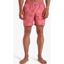 Billabong Vacay Lb Erkek Volley Short