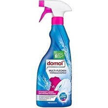 Leke Çıkarıcı Sprey Yıkama Öncesi Oxi Güç 750ML