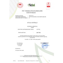 Villa TURQAN 12 Lt Erken Hasat Soğuk Sıkım Memecik Natürel Sızma Zeytinyağı | Tek Bahçe (2024/2025) (3 Litre x 4 Adet)
