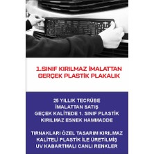 Tay Promosyon Taraftar Takım Logolu Oto Plakalık Isimli Kişiye Özel Parlak Canlı Renkli Plakalık
