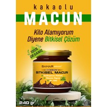 SpringMax Kakaolu , Pekmez Vitamin Arı Sütü Macun (240GR)
