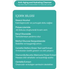 Yaşlanma Etkilerine Karşı ve Nemlendirici Yüz Temizleme Losyonu