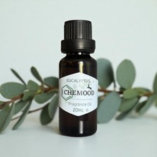 Okaliptus Mum Esansı  20ML