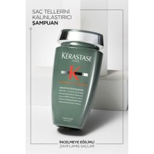 Genesis Homme Bain De Masse Epaississant 250 ml Yoğunlaştırıcı Şampuan Mdbeauty.