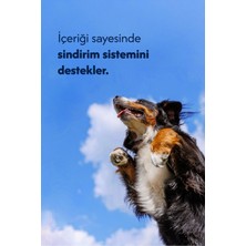 Kuzu Kulak %100 Doğal Köpek Ödül Maması