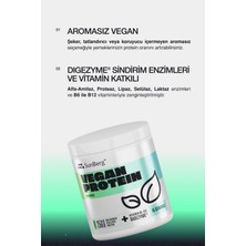 Sunberg Vegan Protein Aromasız 450 gr - 15 Servis