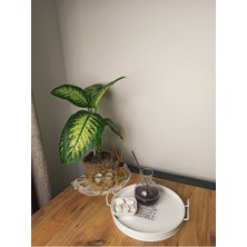 Metal Sunum Tepsi.çay Kahve Pasta Tatlı Servis  27 cm Beyaz