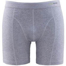 Tender Cotton Gri Melanj Boxer 9216