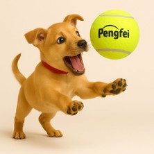 Evcil Hayvan Frizbi - Disk Köpek Oyuncağı - Frizbi Köpek Oyunu - Tenis Topu Kedi Köpek Oyuncağı