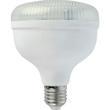 Horoz 30 Watt Crystal LED Ampul Günışığı