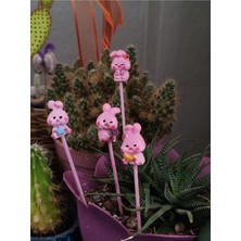 ' Pembe Mini Tavşan Ailesi' Saksı Süsü (4 Adet)