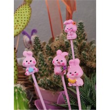' Pembe Mini Tavşan Ailesi' Saksı Süsü (4 Adet)