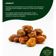Payitaht Hurma Medine Müneyfi  Hurma 12 Li Paket - 100 gr Doyurucu Cildi Tazeleyici Tadımlık Hac Dönüşü Hediyelik Hurma