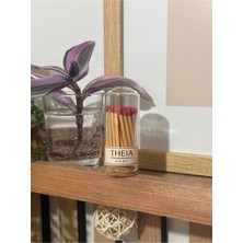 Cam Fanusta Mantar Kapaklı, Kırmızı Uçlu Şık Kibrit Seti