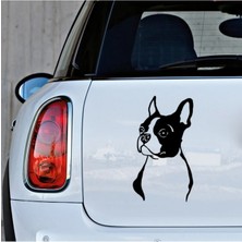 Boston Terrier Cinsi Köpek Sticker Yapıştırma Etiket 25CM Siyah
