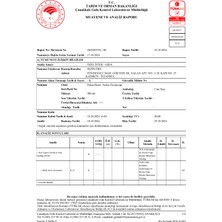 ZeytinliYar Ekim 2024 Erken Hasat Soğuk Sıkım Zeytinyağı
