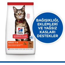 Hill's Lamb Kuzu Etli Yetişkin Kedi Maması 3 Kg