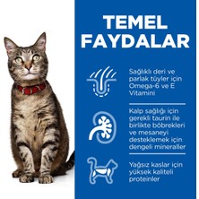 Hill's Lamb Kuzu Etli Yetişkin Kedi Maması 3 Kg
