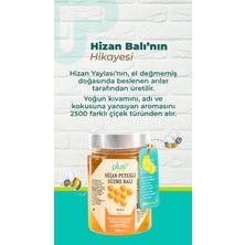 Plus Kitchen Petekli Hizan Balı 420 gr
