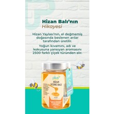 Plus Kitchen Süzme Hizan Balı 420 gr