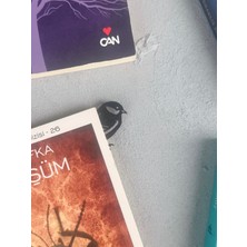 4'lü Set Kuş Figürlü Kitap Ayracı