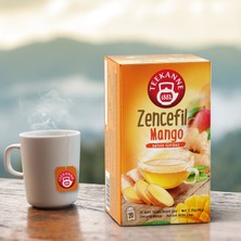 TEEKANNE Teekanne Zencefil - Mango Karışık Bitki Çayı