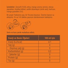 TEEKANNE Teekanne Zencefil - Mango Karışık Bitki Çayı