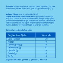 TEEKANNE Teekanne Çilek ve Portakal Aromalı Soğuk Bitki Çayı
