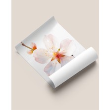 Çerçevesiz Poster Badem Çiçeği Kırmızı Tomurcuklu