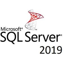 Sql Server 2019 Standard Dijital Lisans
