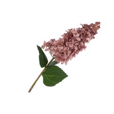 Sümbül Gül Kurusu Yapay Çiçek 82CM Dekorasyon 1 Adet