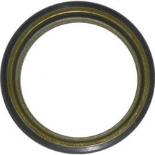 Abs Okuyucu Halka Arka Sandero Clio Iv Dpmah