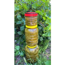Kayısıcı Baba Tokat Salamura Asma Yaprağı 3 kg