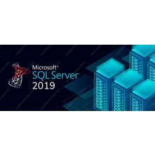 Sql Server 2019 Standard Dijital Lisans