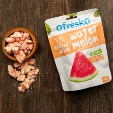 Ofrésko Karpuz Kuru Meyve Cipsi 15 gr – İlave Şekersiz & Katkısız - Dondurularak Kurutulmuş Sağlıklı Atıştırmalık – Freeze Dried Karpuz