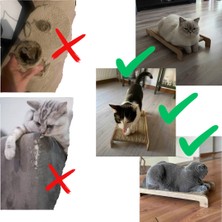 Reano Yatak Kedi Tırmalama Tahtası Safir Meşe