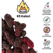 Ofrésko Karadut Kuru Meyve Cipsi 20 gr – İlave Şekersiz & Katkısız - Dondurularak Kurutulmuş Sağlıklı Atıştırmalık – Freeze Dried Karadut
