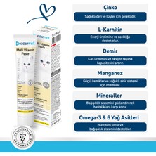 OneVet Multi Vitamin Paste Kedi Malt Macun 50 gr