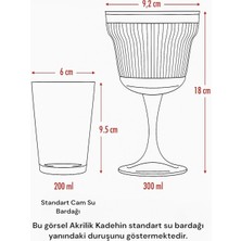 Akrilik Gül Kırmızısı 6'lı Kadeh & Su Meşrubat Kahve Yanı Bardağı 300 ml ( Cam Değildir )